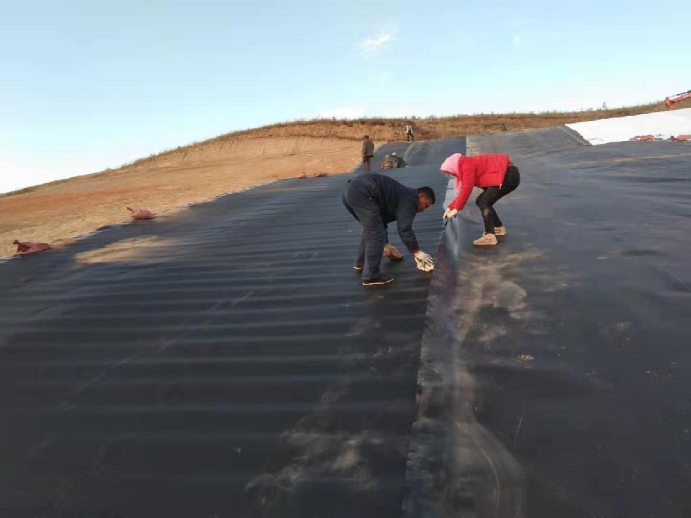 選擇魚塘91短视频APP免费版下载膜時需要考慮多種因素