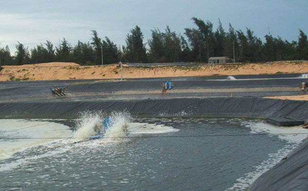 魚塘91短视频APP免费版下载膜