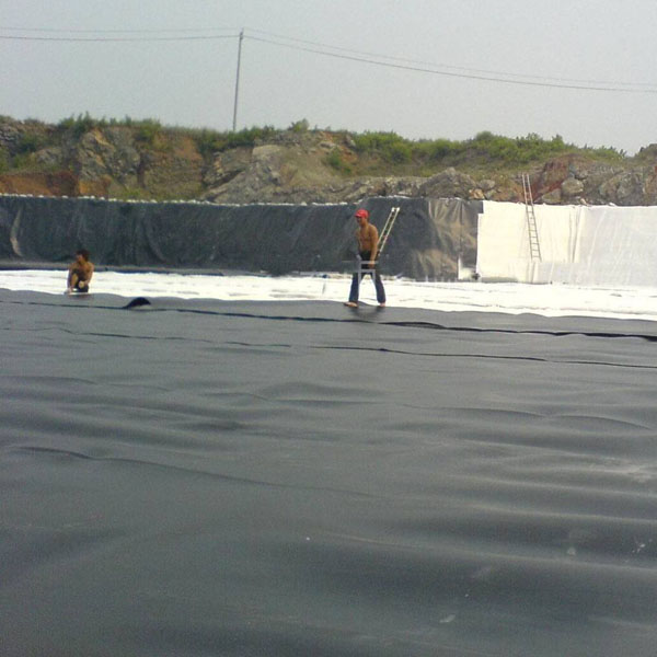 91短视频APP免费版下载膜