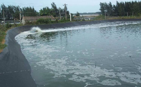 水池91短视频APP免费版下载膜