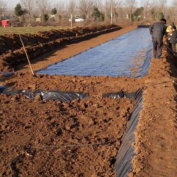 養殖HDPE91短视频官网