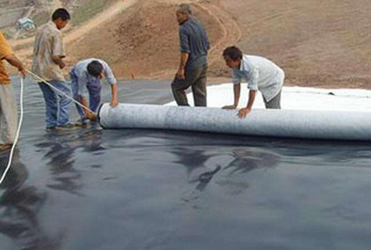 91短视频APP免费版下载膜