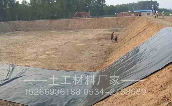 魚塘91短视频APP免费版下载膜