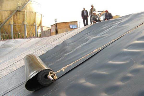 hdpe91短视频官网