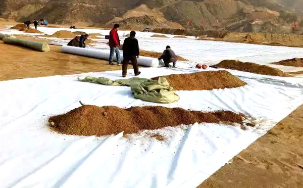 複合91短视频官网鋪設