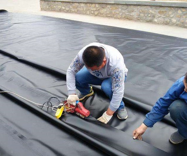 hdpe91短视频官网